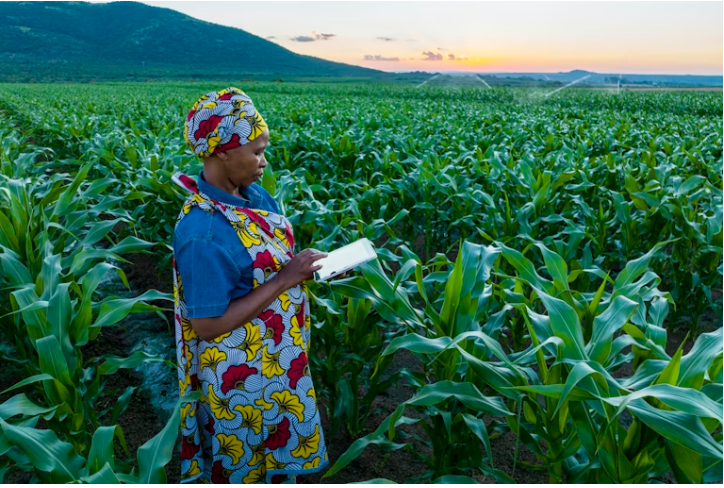 Illustration of a smart farm